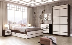 Модульная система 11849